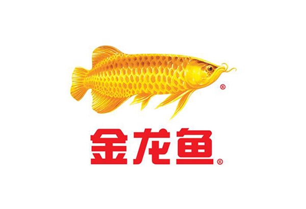 永坤減速機(jī)廠家客戶見證之金龍魚食用油全自動(dòng)生產(chǎn)線